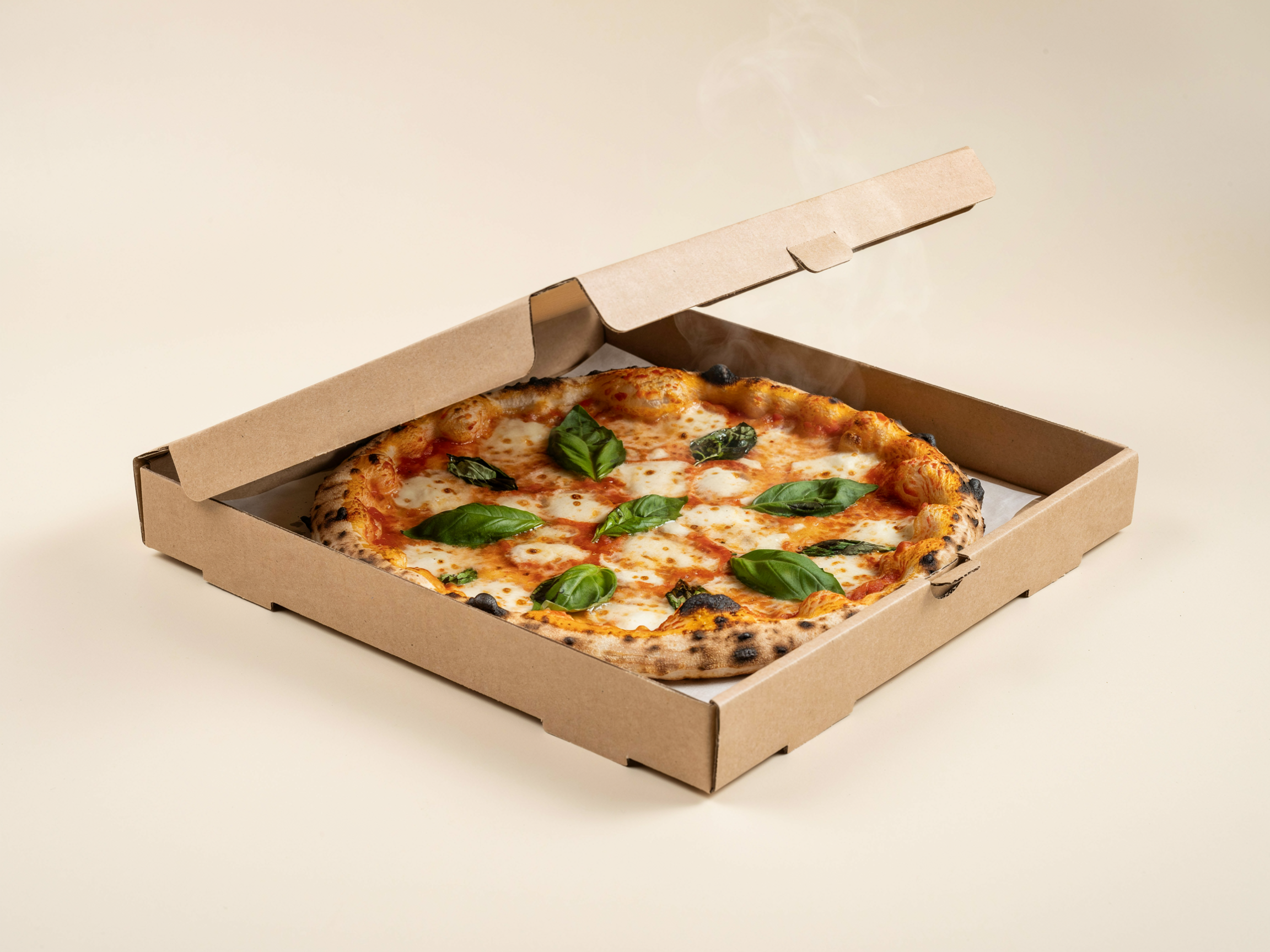 Pizza Packaging Box