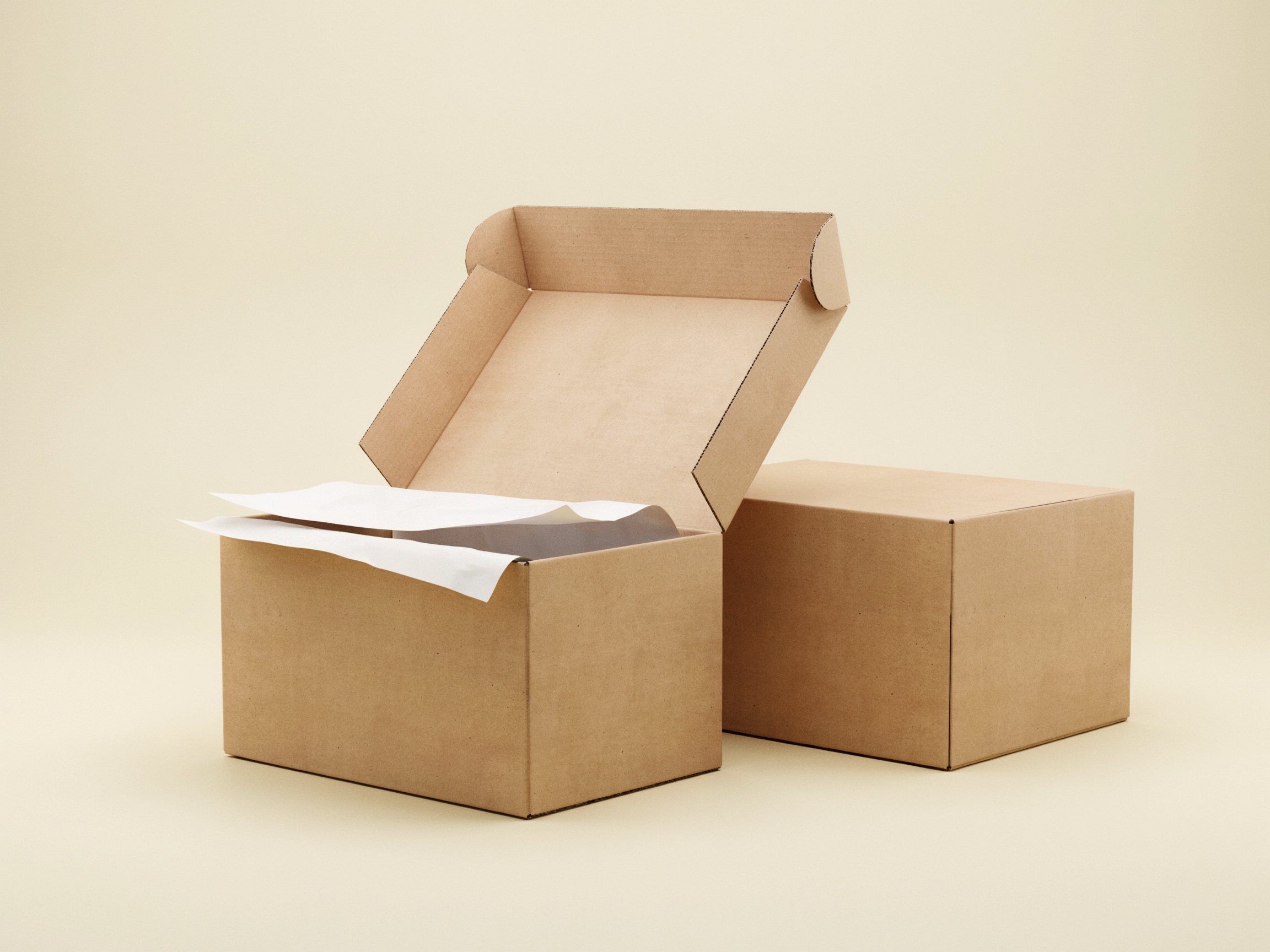 Premium Corrugated Packaging Box