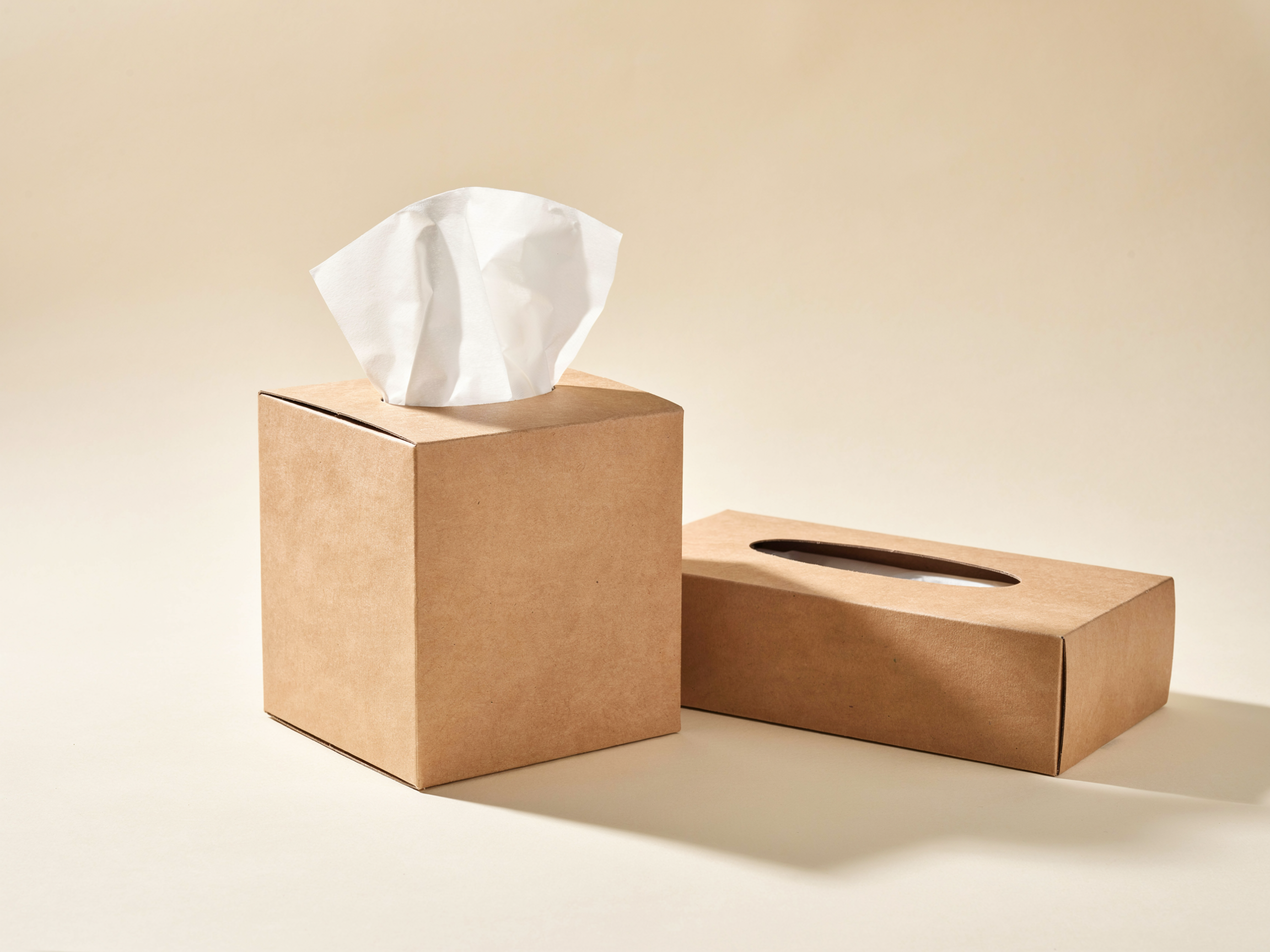 Tissue Packaging